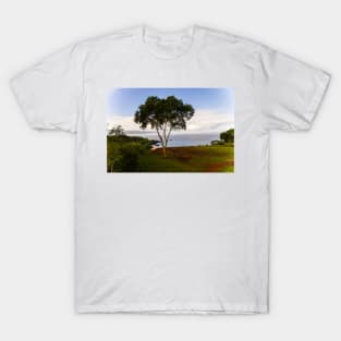 Seascapes in Honolulu T-Shirt